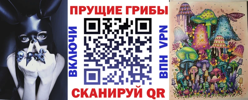 hydra как зайти  Ядрин  Псилоцибиновые грибы Psilocybe 